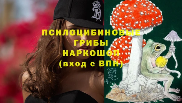 spice Горно-Алтайск